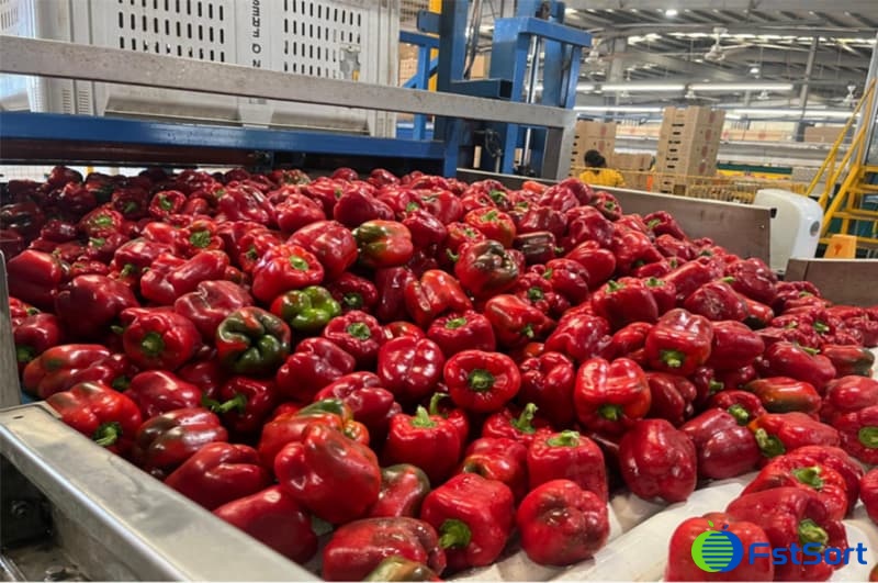 images/1753780809768pepper optical sorting machine.jpg